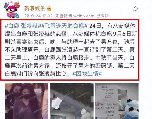 刘大锤最新爆料谁领证了,神秘情侣低调领证，明星恋情再掀波澜